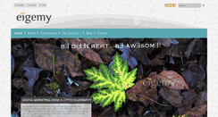 Desktop Screenshot of eigemy.com